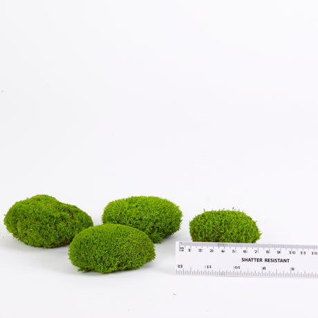 Mini Ball Moss, Preserved, Light Green, coverage 0.16m2