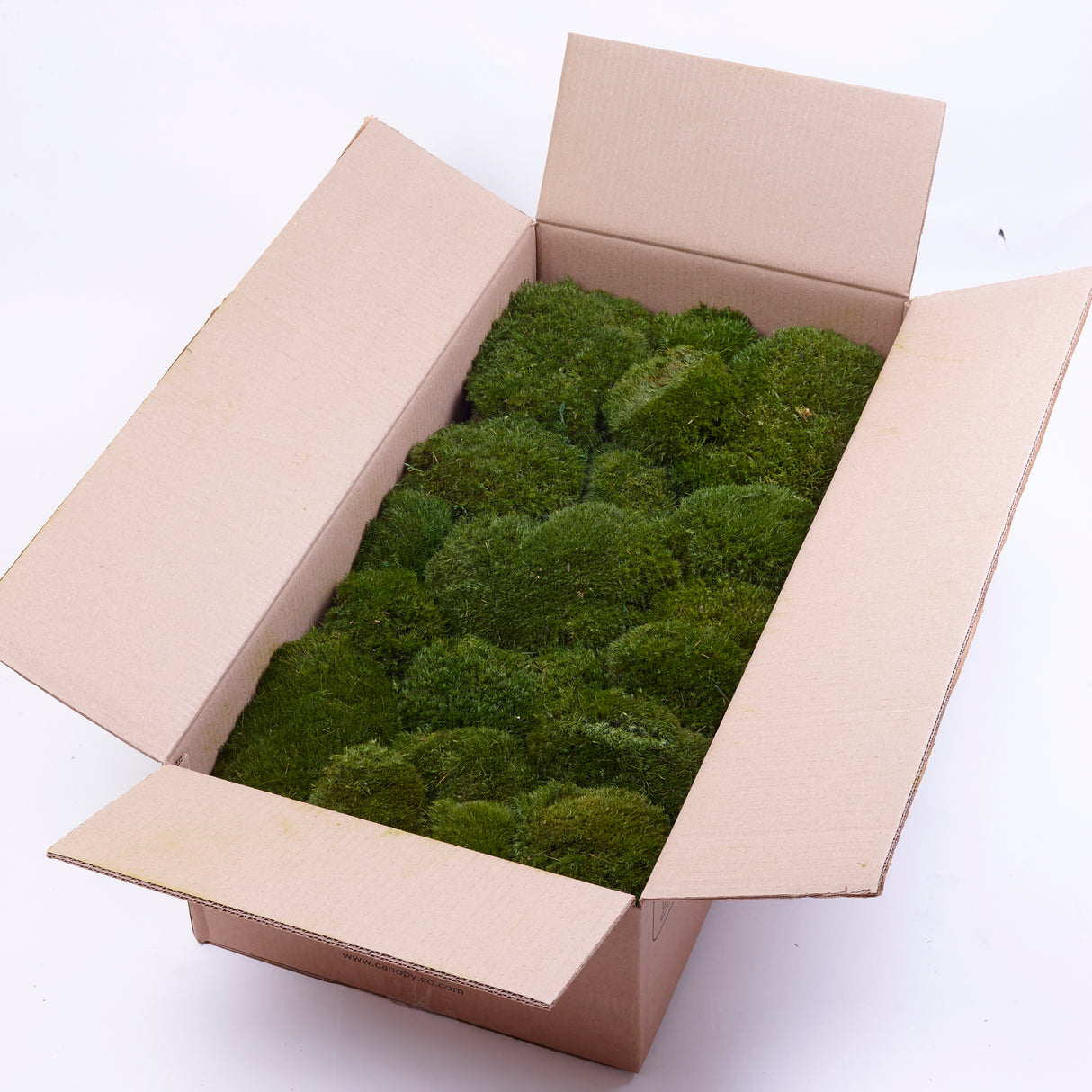 Mood Moss, Preserved, Nature Green, coverage 0.8m2