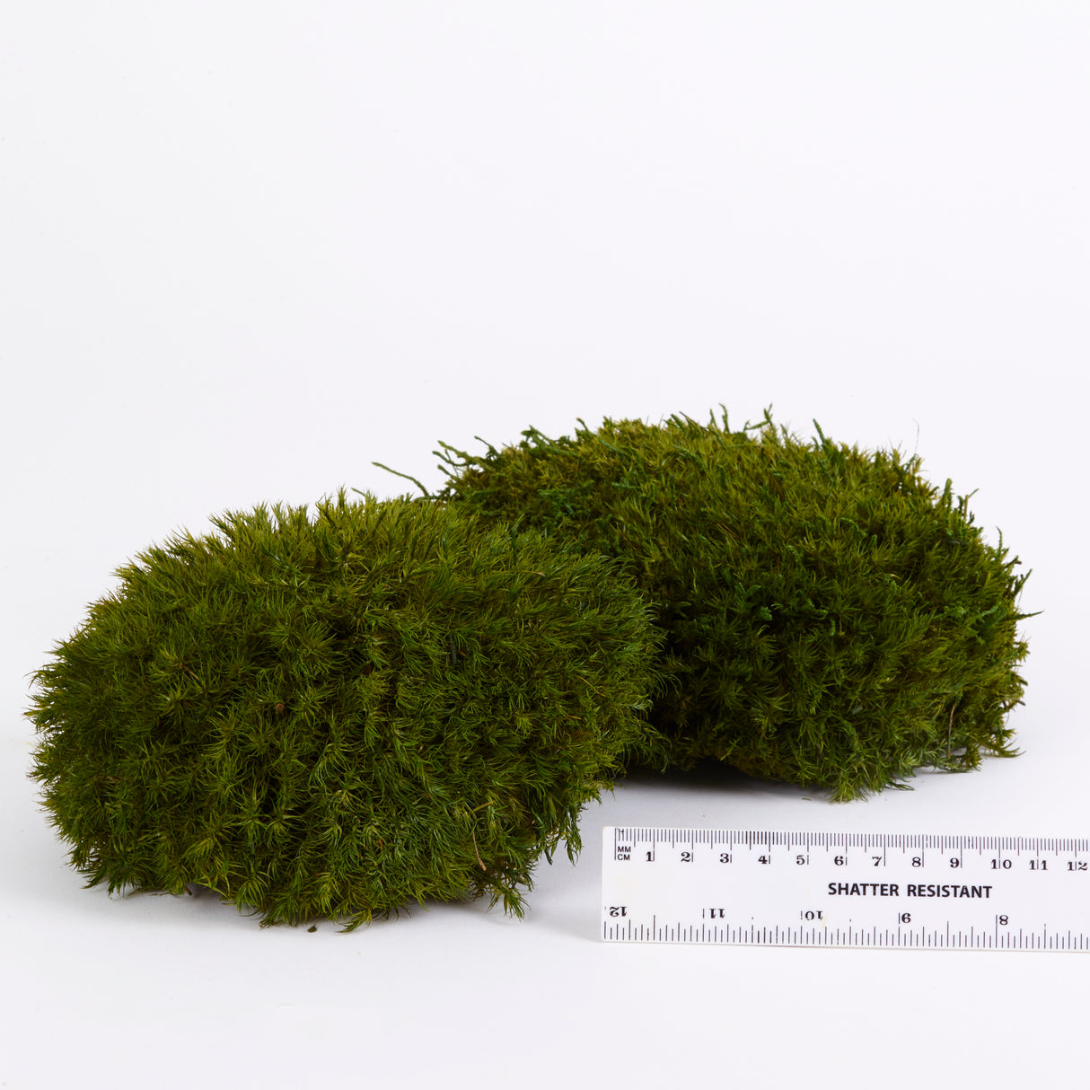 Mood Moss, Preserved, Nature Green, coverage 0.8m2