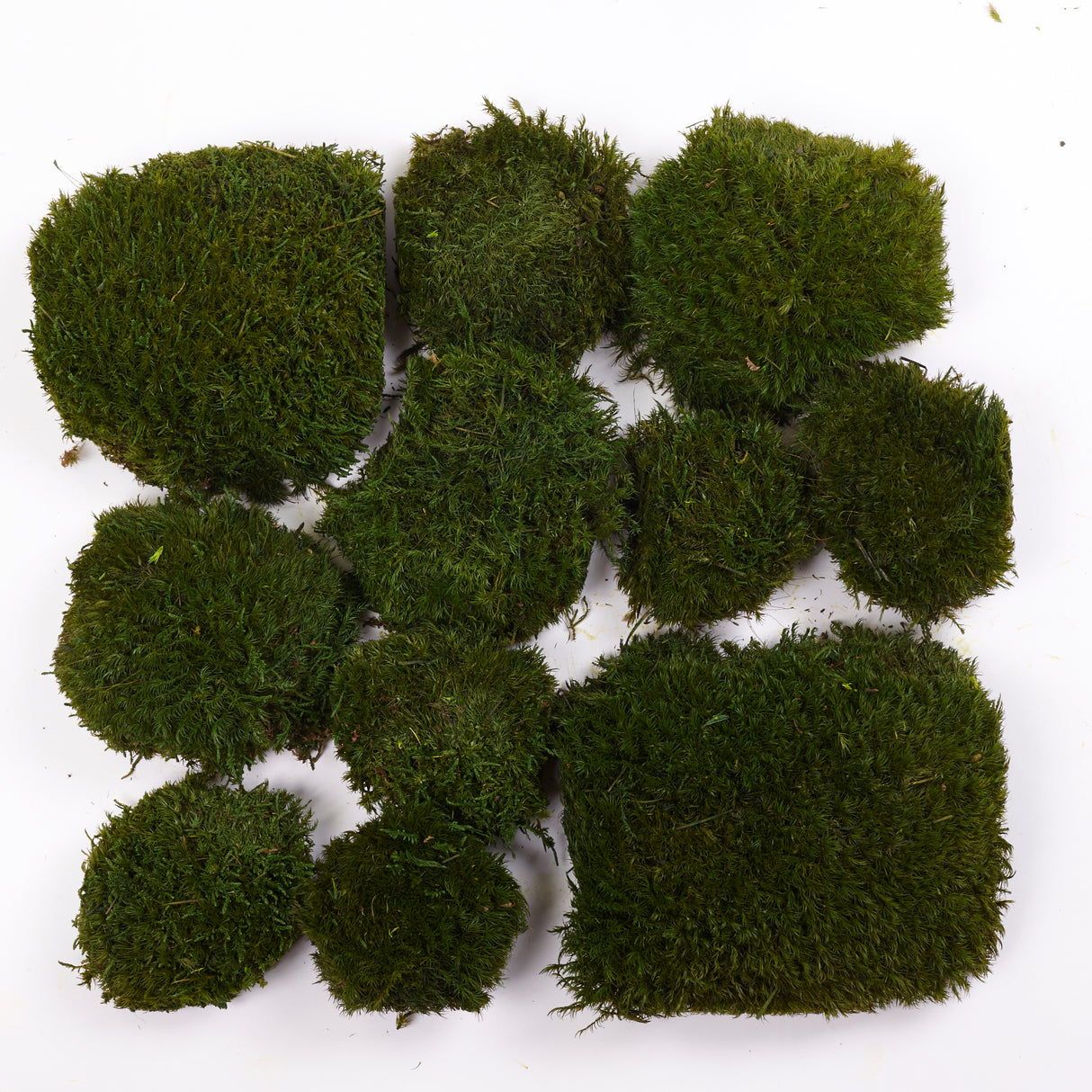 Mood Moss, Preserved, Nature Green, coverage 0.16m2