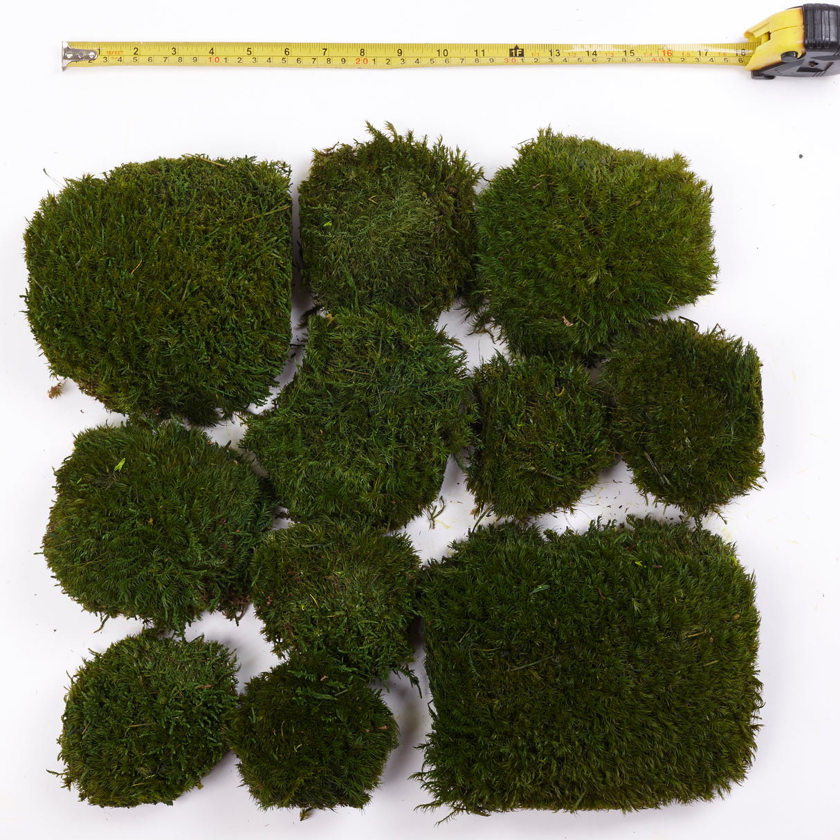 Mood Moss, Preserved, Nature Green, coverage 0.16m2