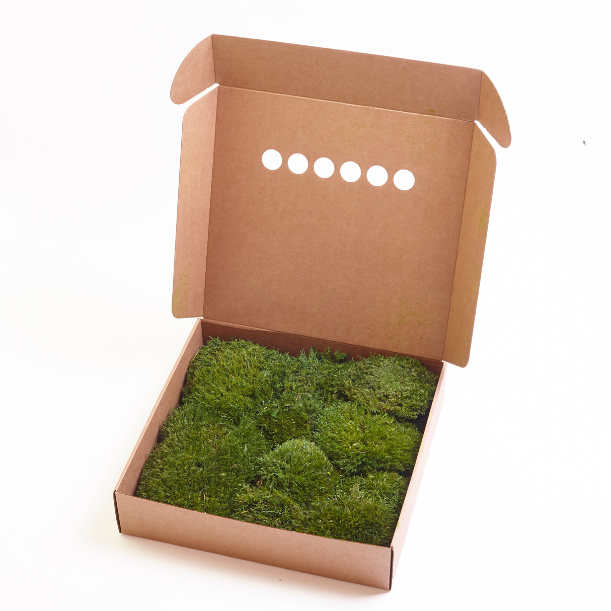 Mood Moss, Preserved, Nature Green, coverage 0.16m2