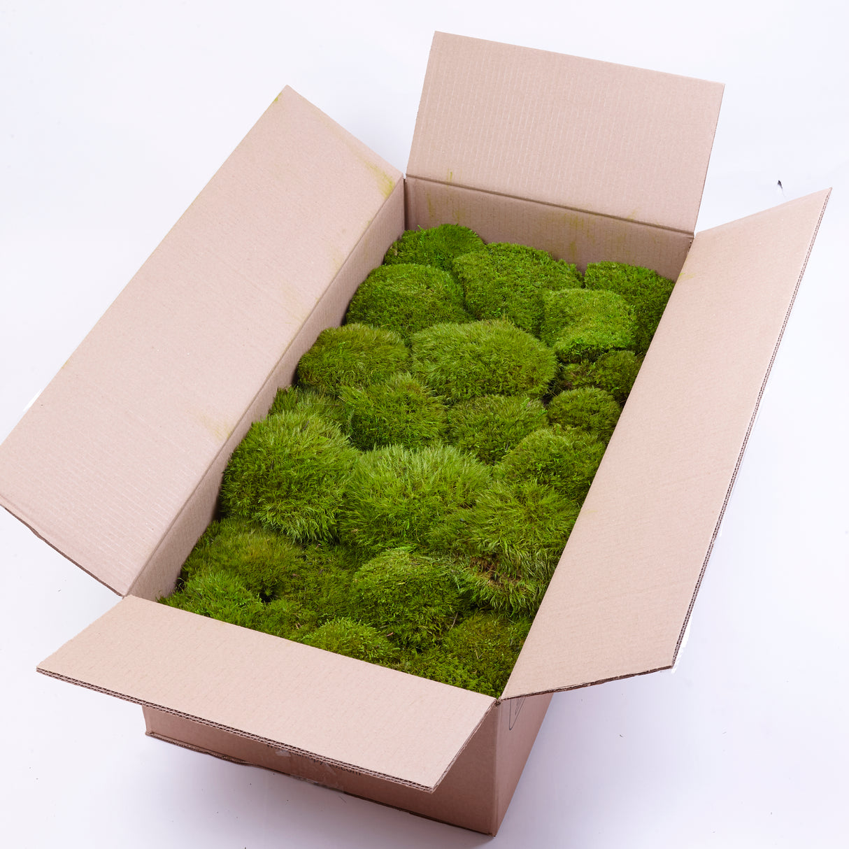 Mood Moss, Preserved, Light Green, coverage 0.8m2