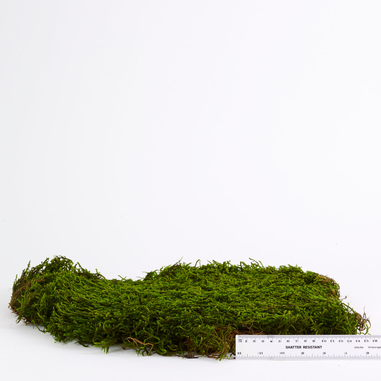 Long Moss, Preserved, Nature Green, coverage 1.5m2