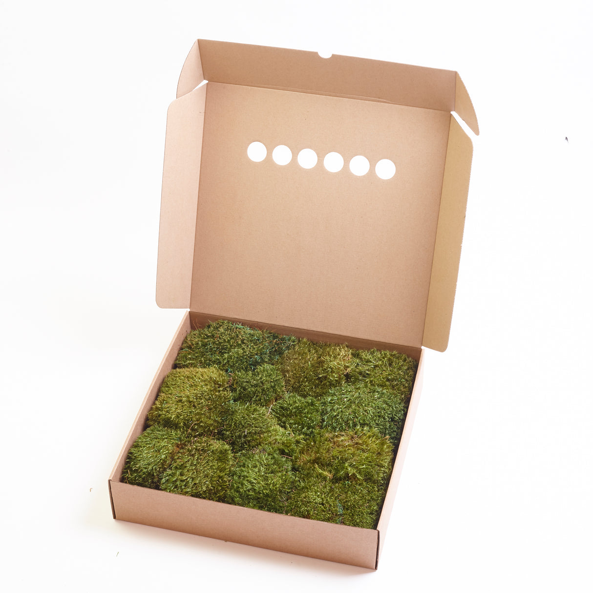 Hair Moss, Preserved, Light Green, coverage 0.3m2