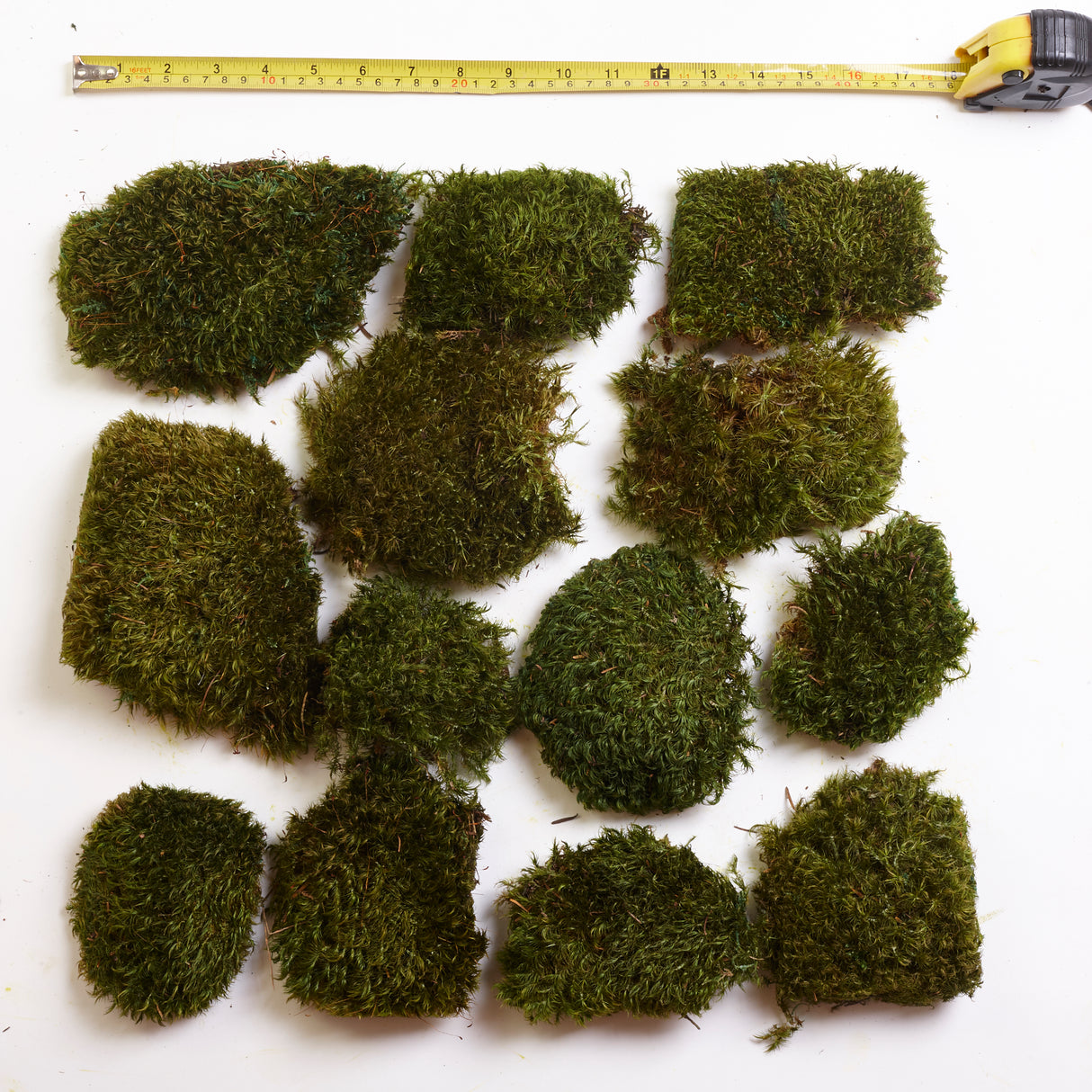 Hair Moss, Preserved, Light Green, coverage 0.3m2