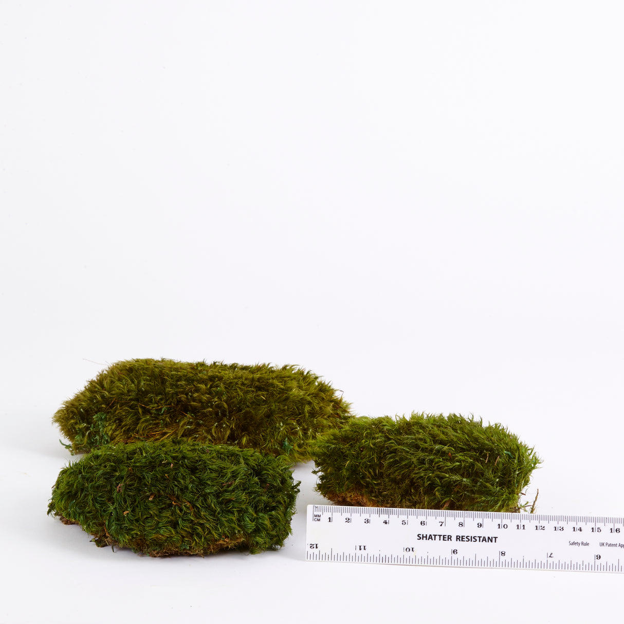 Hair Moss, Preserved, Light Green, coverage 0.3m2