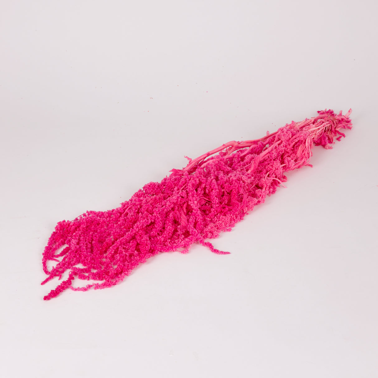 Amaranthus trailing, Preserved, Hot Pink, 150g bunch