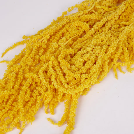 Amaranthus trailing, Preserved, Yellow, 150g bunch