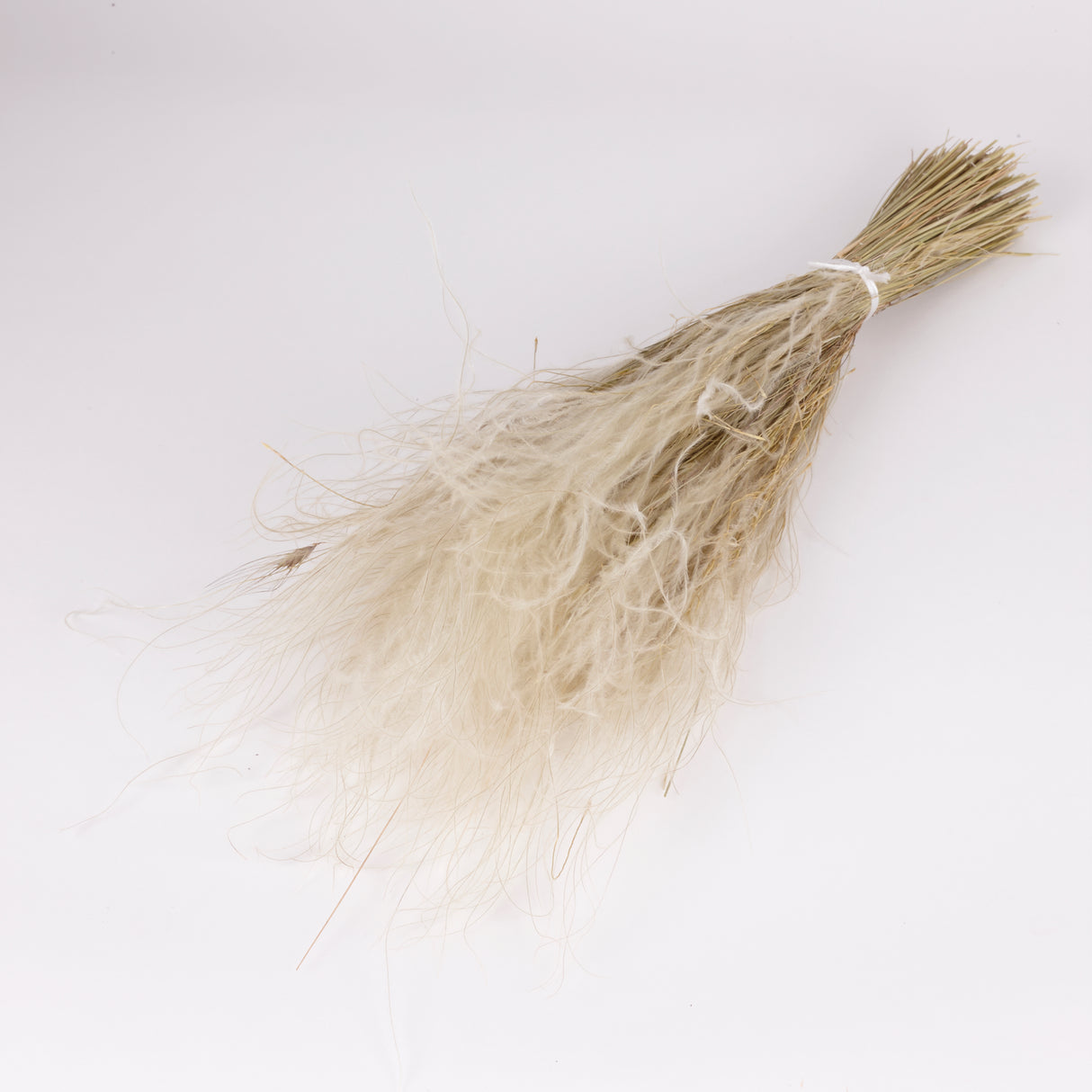 Stipa pennata Grass, Dried, Natural White, 100g