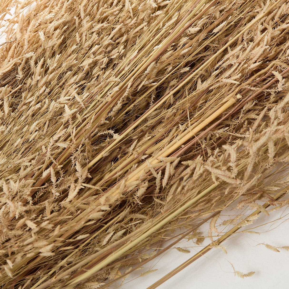 Briza, Segromigno, Dried, Natural, 100g Bunch