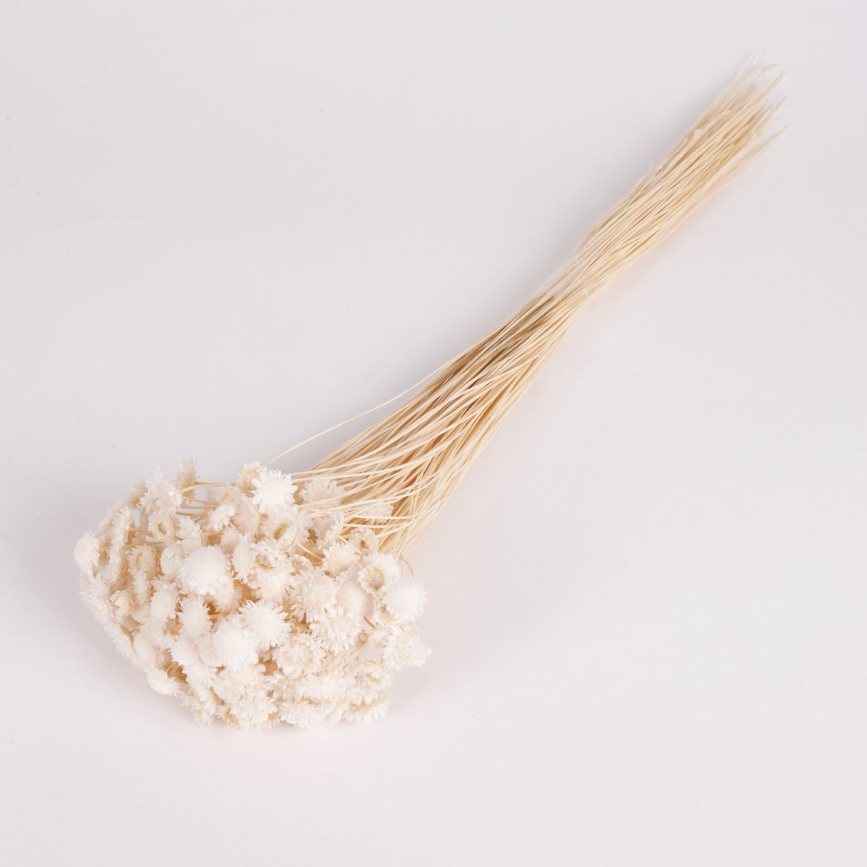 Glixia Flower, White, 70g Bunch