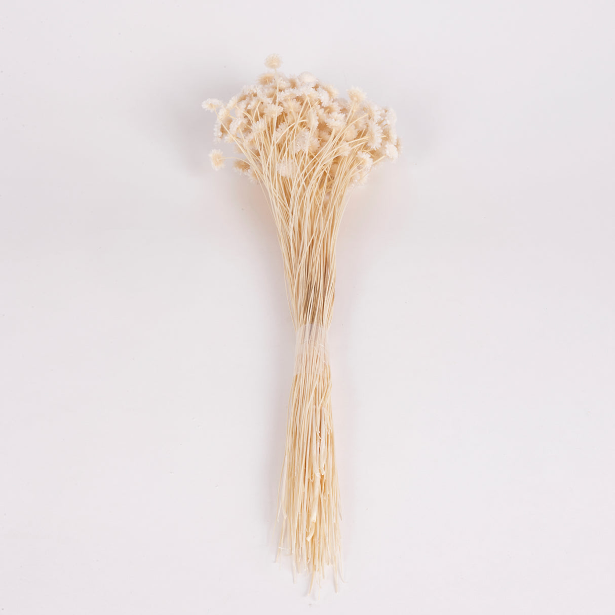 Glixia Flower, White, 70g Bunch