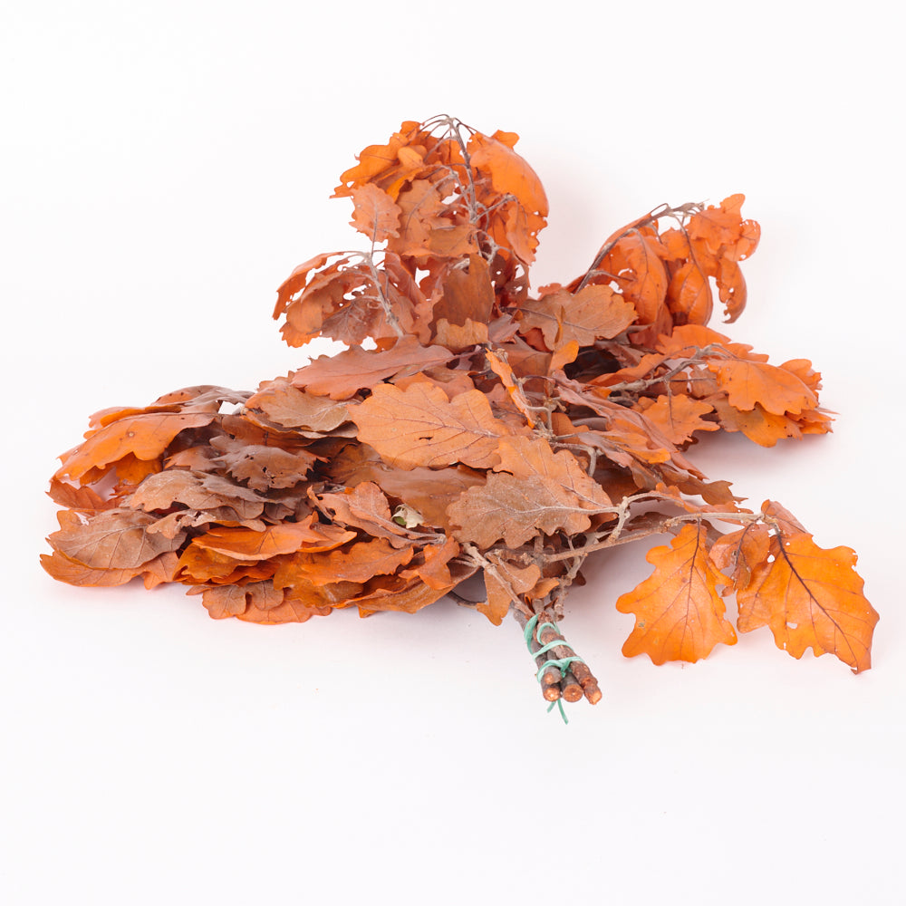 Oak Foliage, Preserved, Orange, 150g Bunch