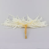 Coral Leaf, Bleached White, 10 stem Bunch