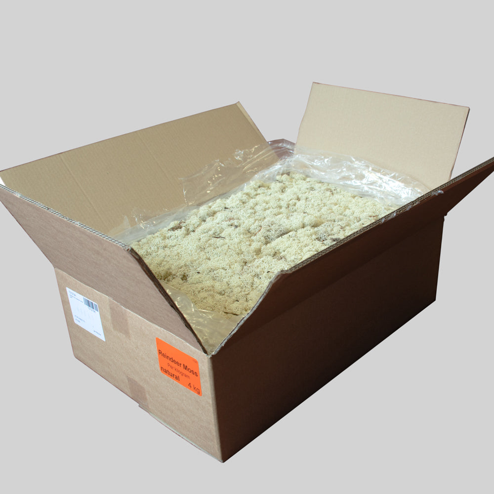 Reindeer Moss, Natural Green, Per 4KG