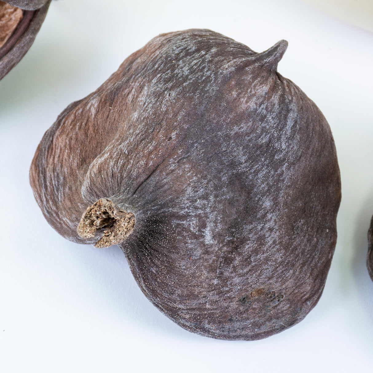 This image shows a group of 50 natural Badam shells against a white background