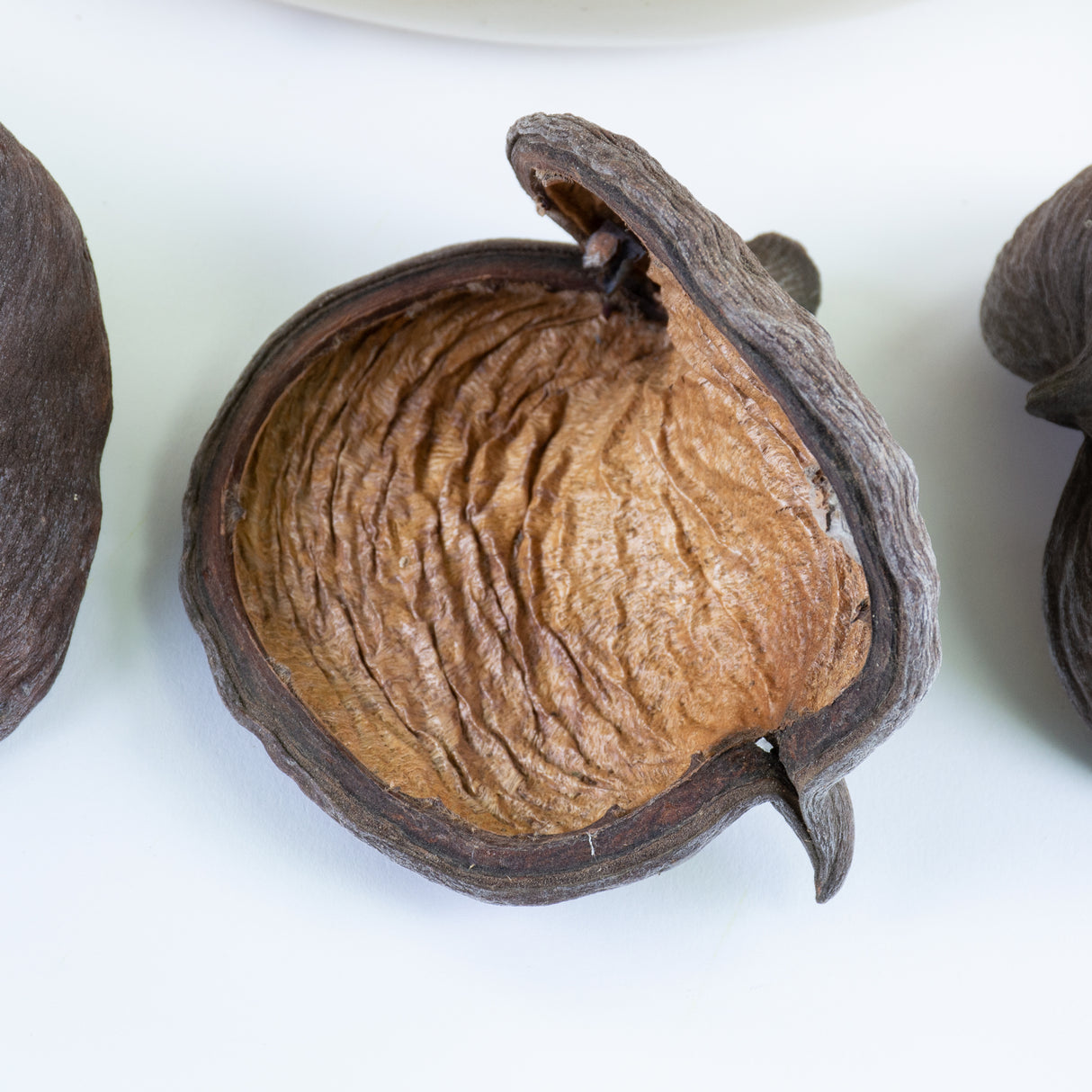 This image shows a group of 50 natural Badam shells against a white background