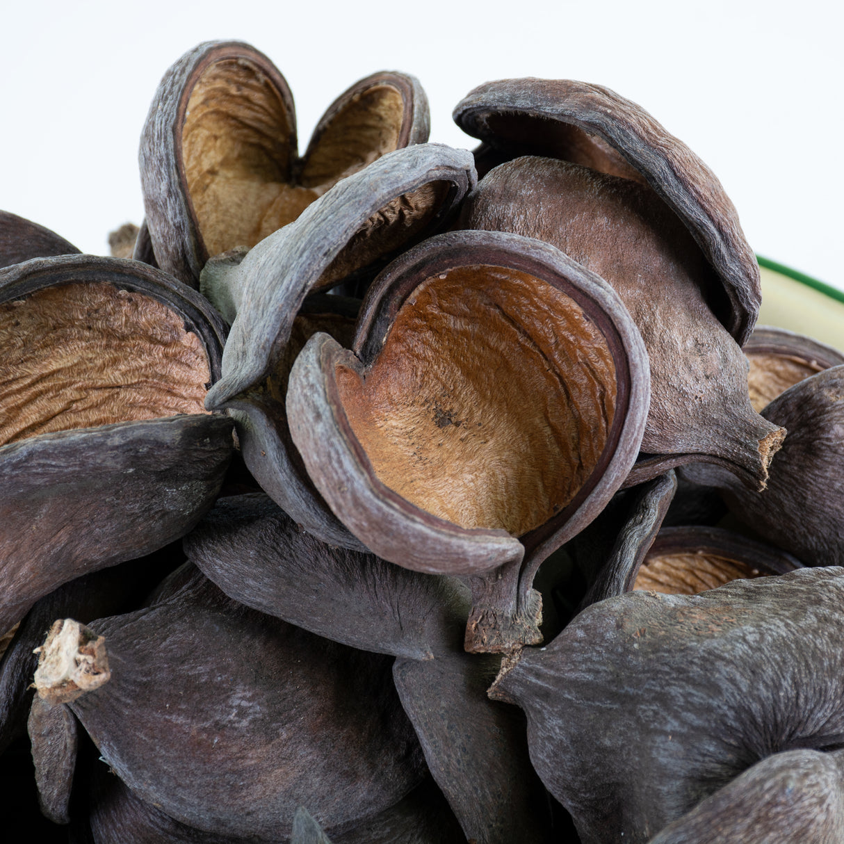 This image shows a group of 50 natural Badam shells against a white background