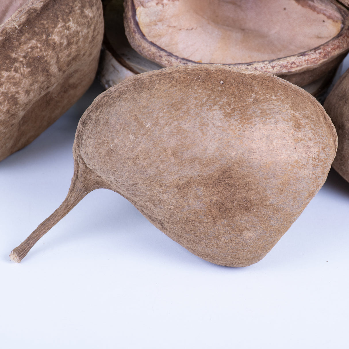 This image shows a group of 10 Buddha nuts against a white background