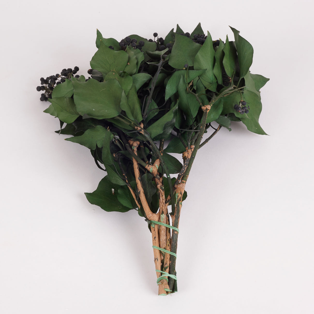 Ivy, Preserved, Green with Berries, 150g Bunch