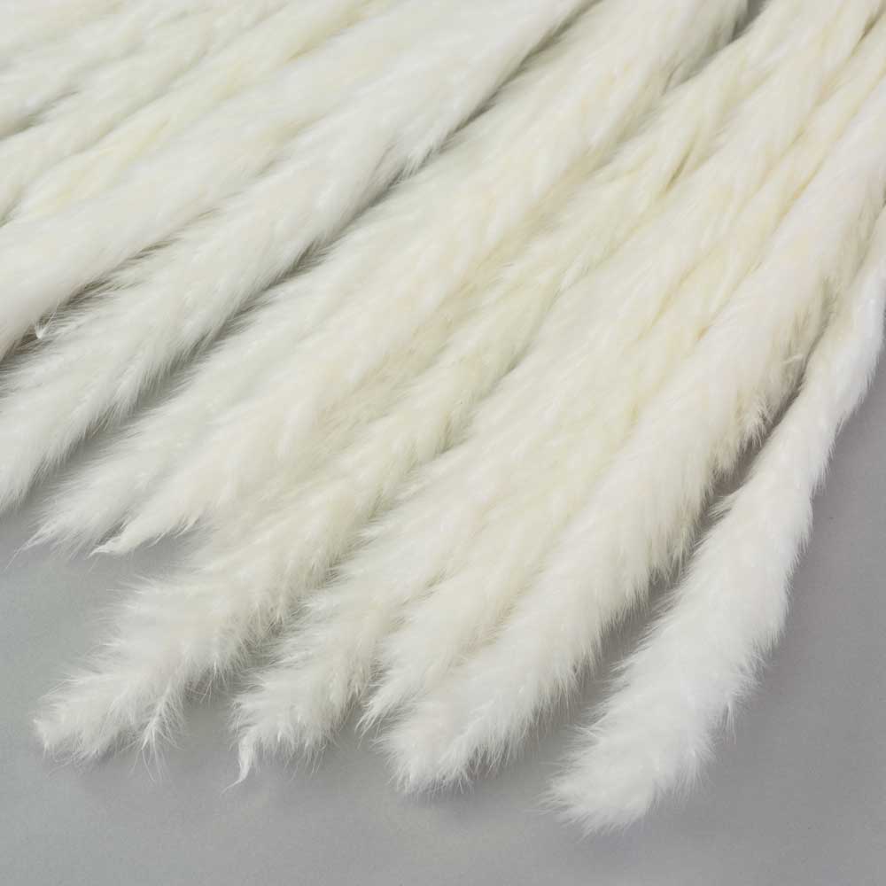 Reed Bunch, Bleached White against a pale grey background