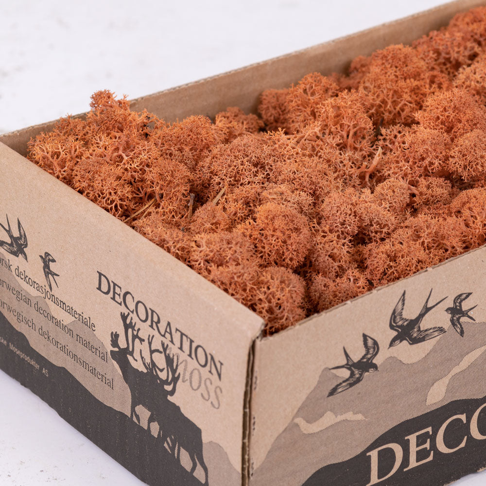 Icelandic Moss, Mango, 425g