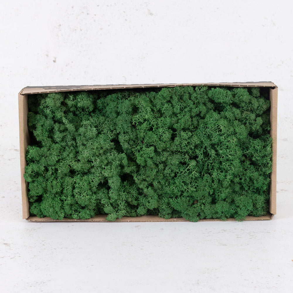 Icelandic Moss, Grass Green, 500g