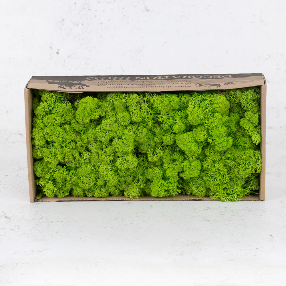 Icelandic Moss, Light Grass Green, 500g