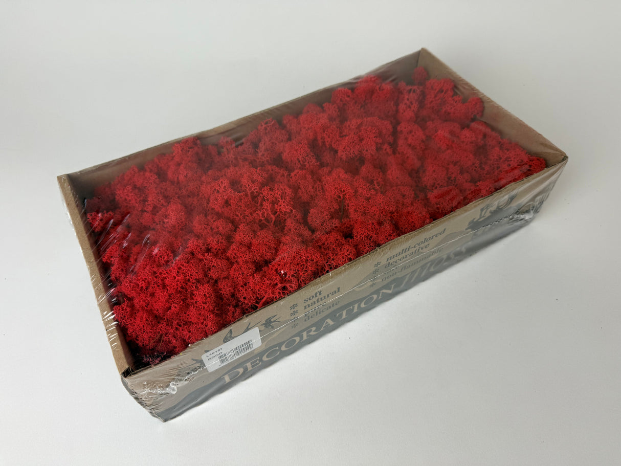 Icelandic (Reindeer) Moss, Preserved, Red, 425g