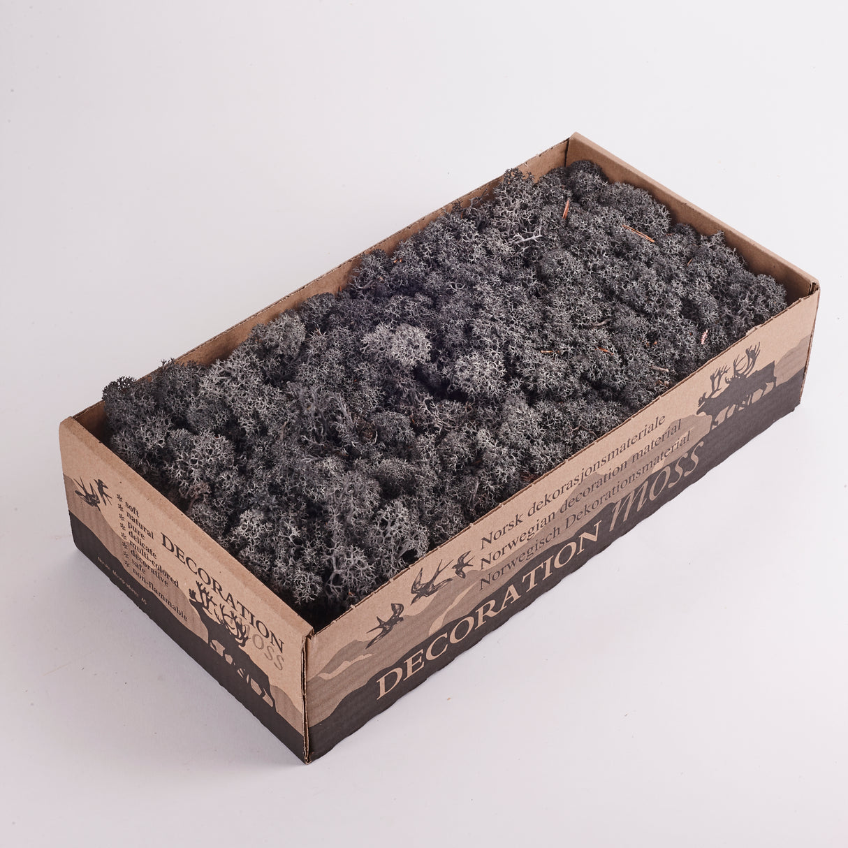 Icelandic (Reindeer) Moss, Preserved, Anthracite, 425g