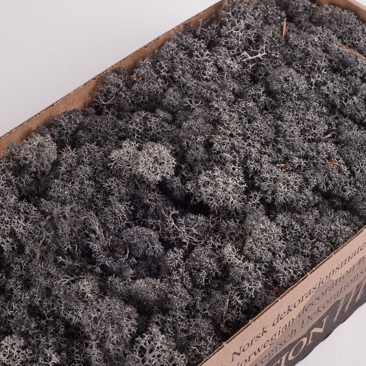 Icelandic (Reindeer) Moss, Preserved, Anthracite, 425g