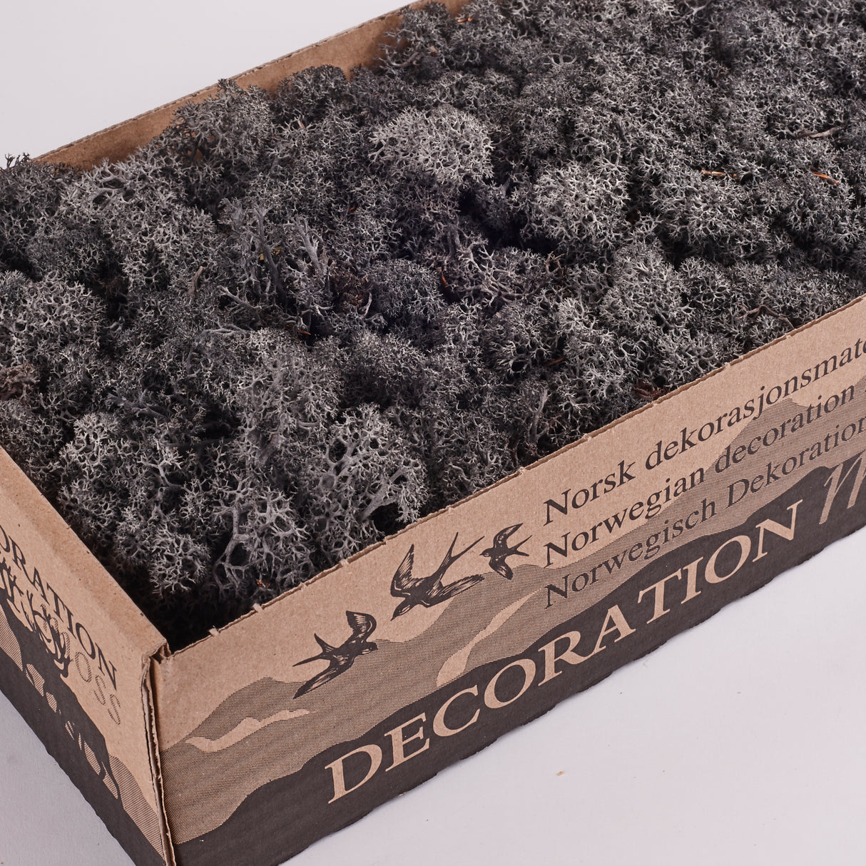 Icelandic (Reindeer) Moss, Preserved, Anthracite, 425g