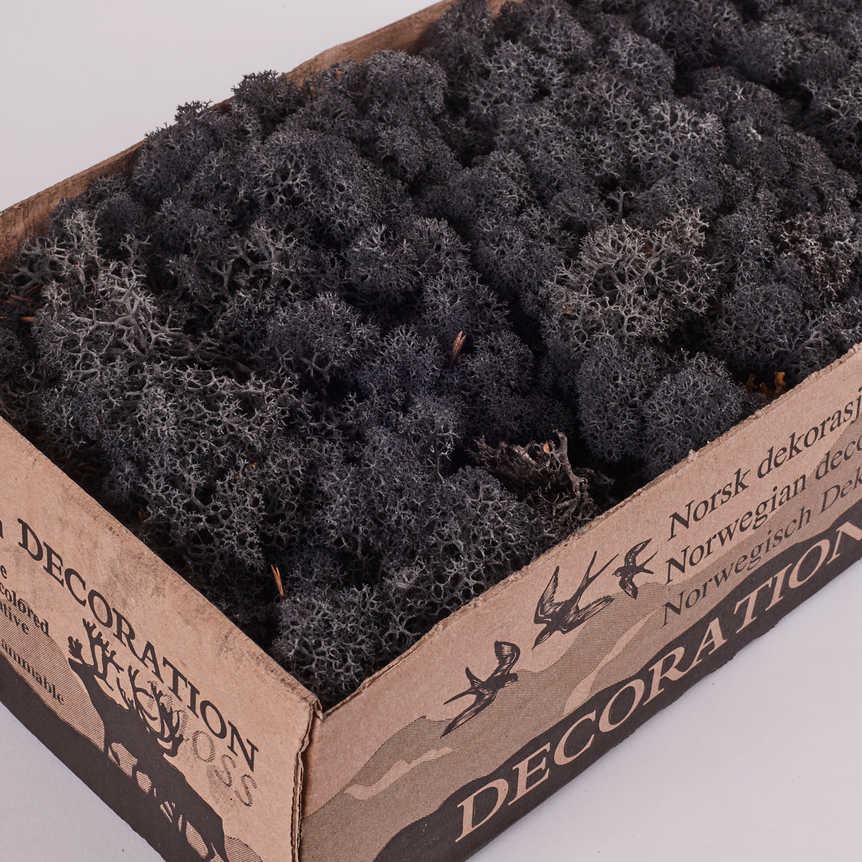 Icelandic (Reindeer) Moss, Preserved, Black, 425g