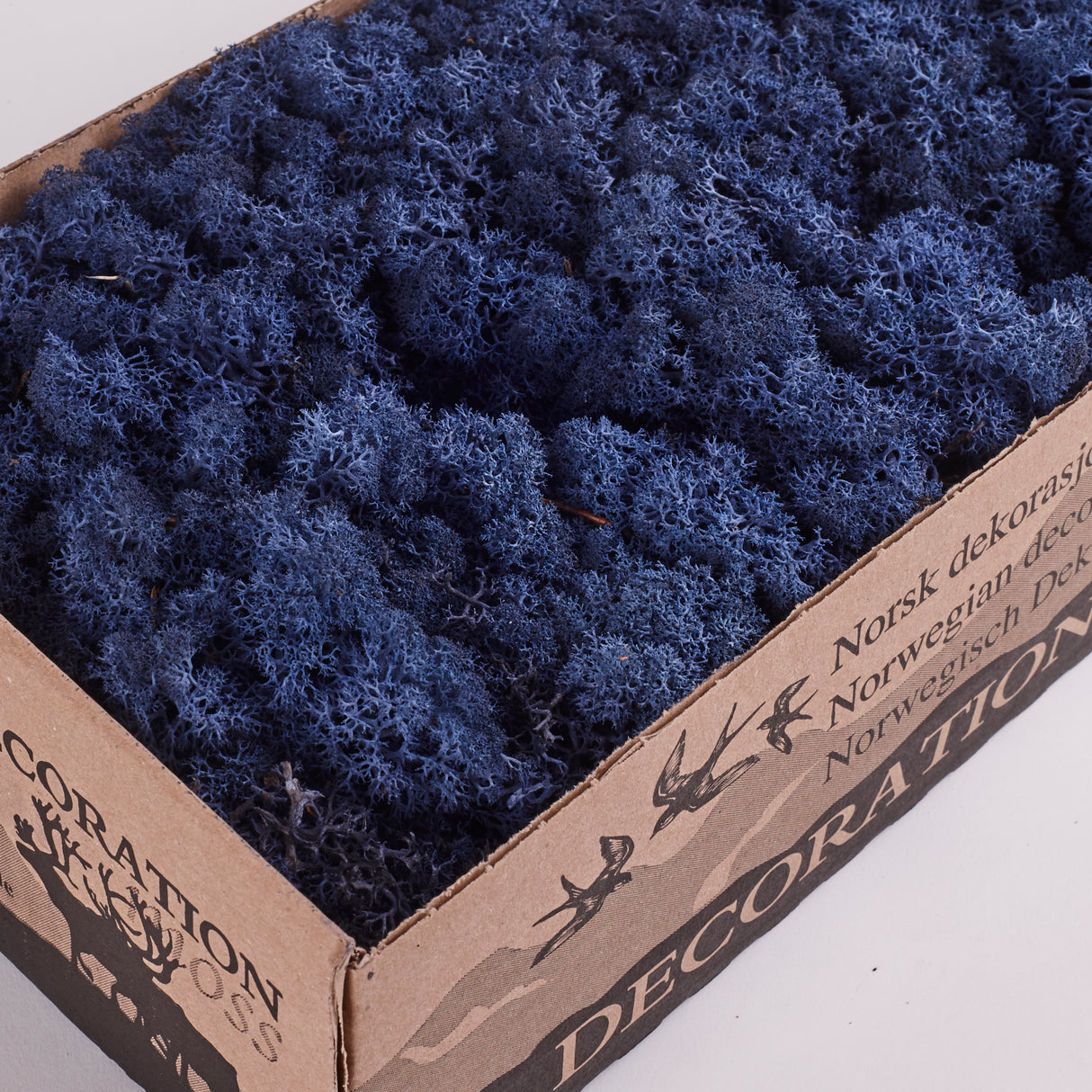 Icelandic (Reindeer) Moss, Preserved, Blue, 425g