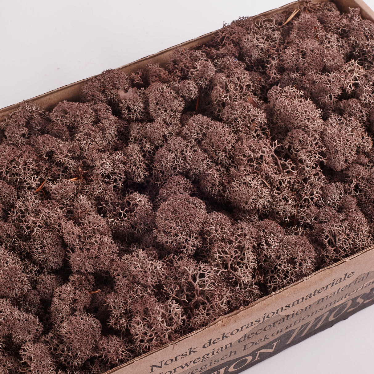 Icelandic (Reindeer) Moss, Preserved, Brown, 425g