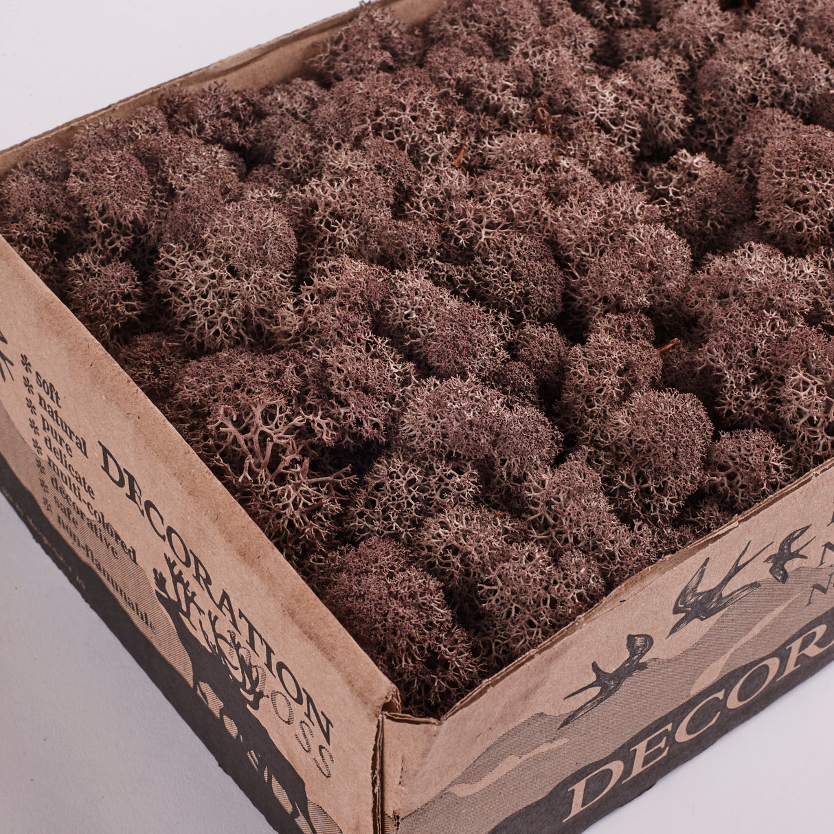 Icelandic (Reindeer) Moss, Preserved, Brown, 425g