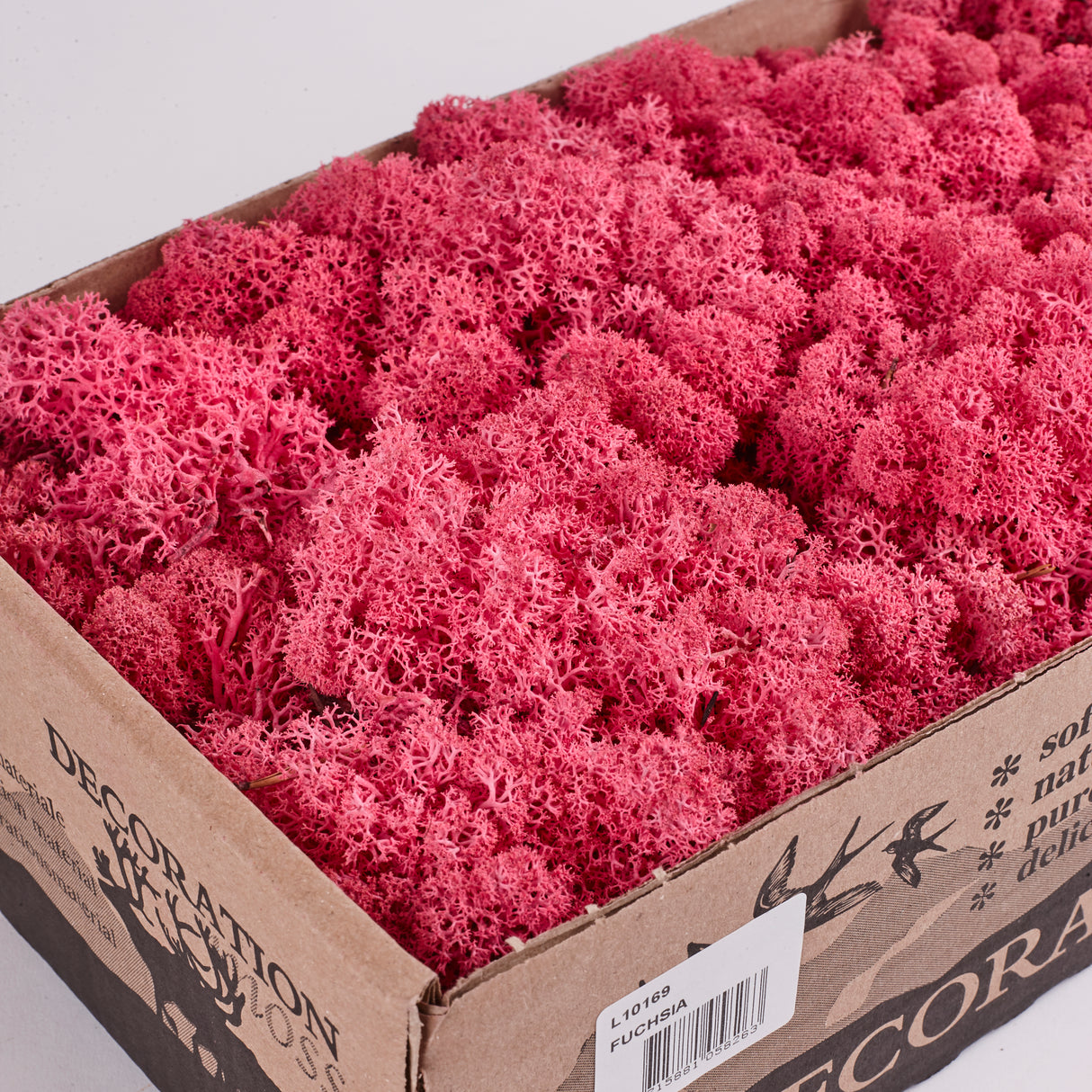 Icelandic (Reindeer) Moss, Preserved, Fuchsia, 425g