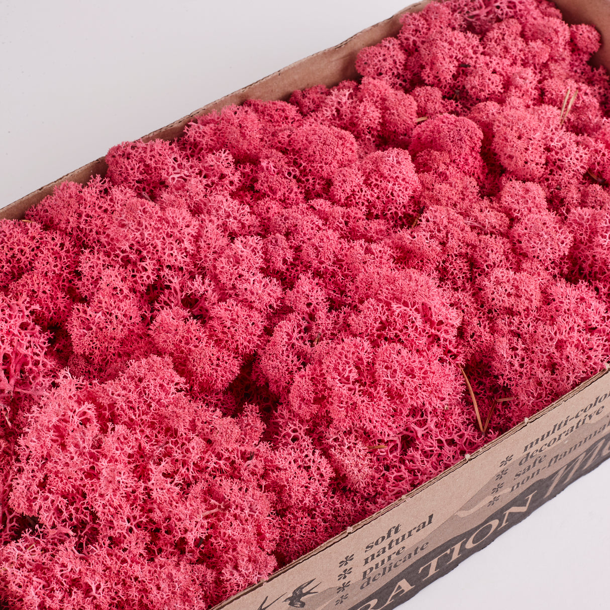 Icelandic (Reindeer) Moss, Preserved, Fuchsia, 425g