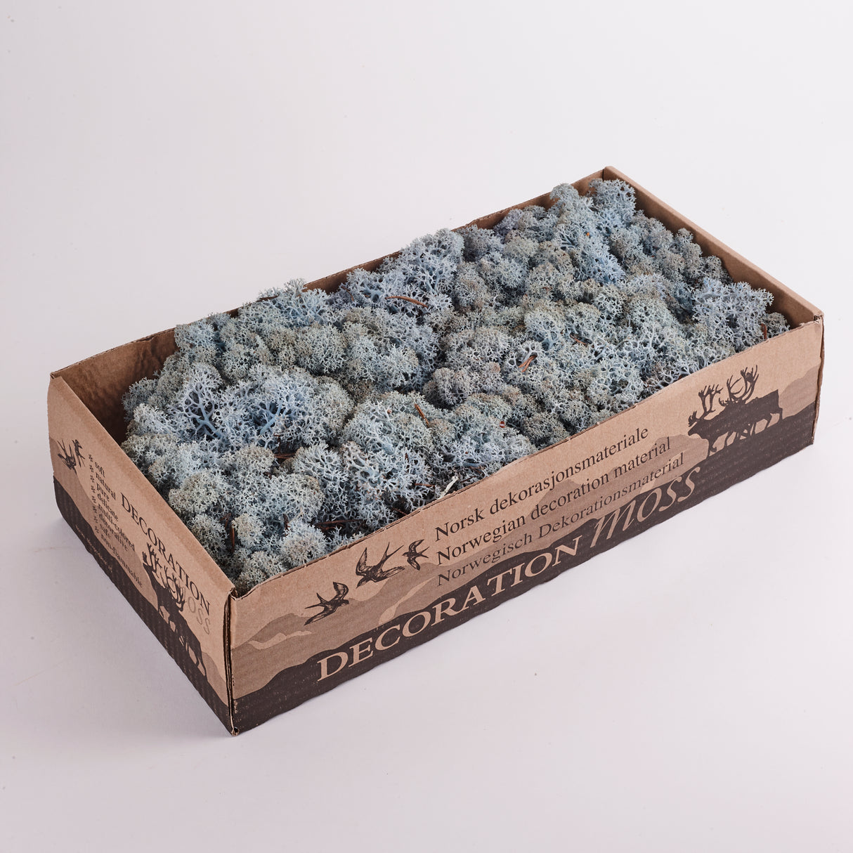 Reindeer Moss Preserved Ice Blue