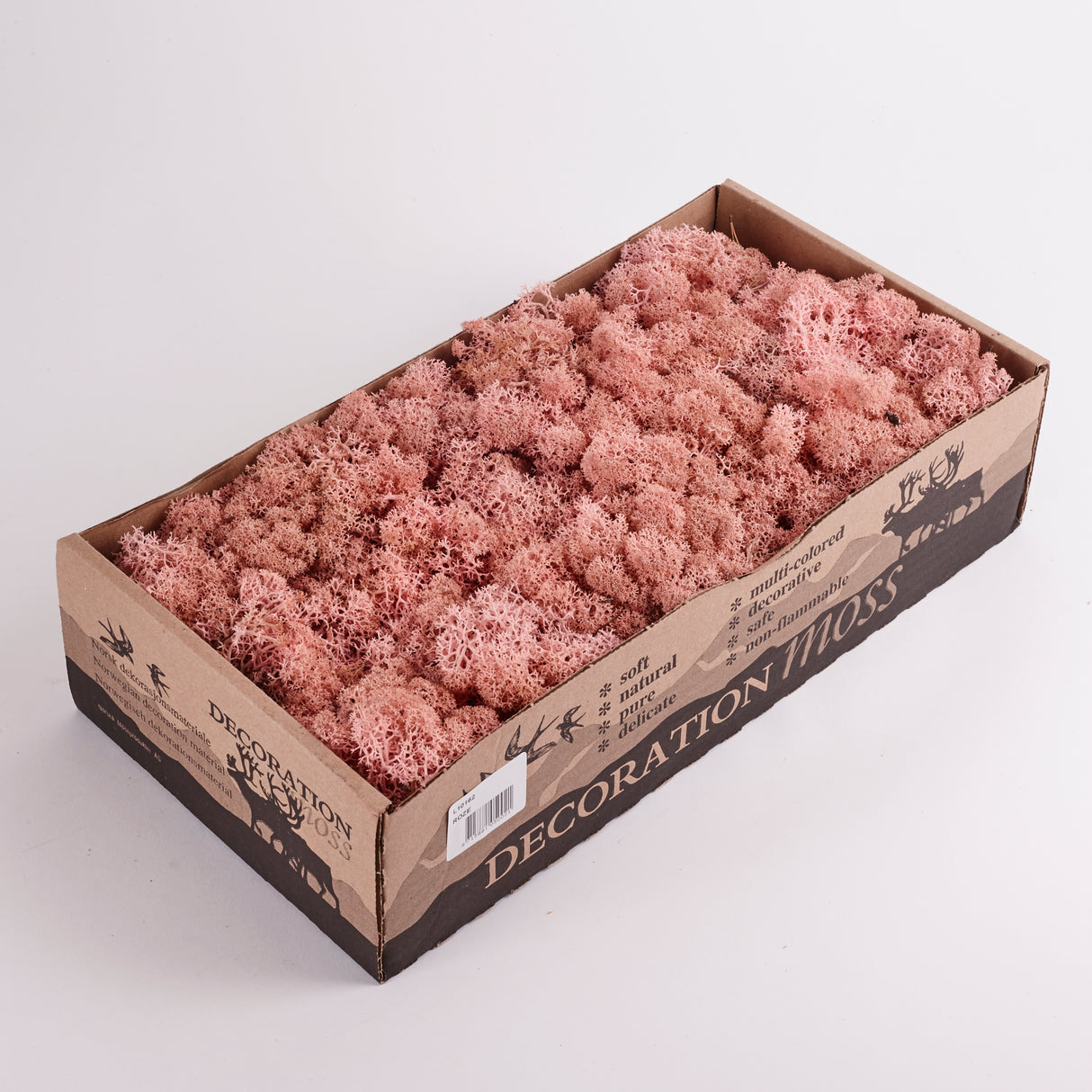 Reindeer Moss Light Pink