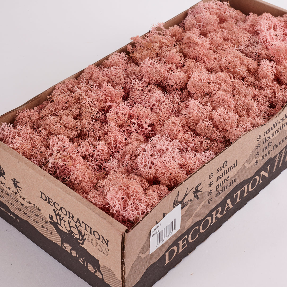 Icelandic (Reindeer) Moss, Preserved, Light Pink, 425g