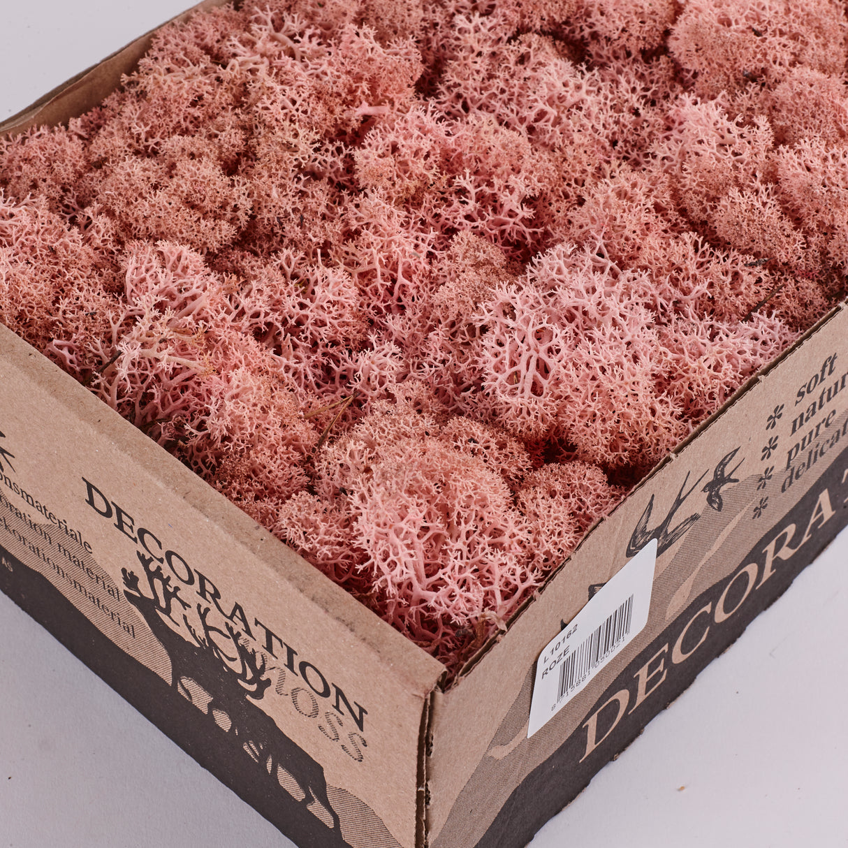 Icelandic (Reindeer) Moss, Preserved, Light Pink, 425g