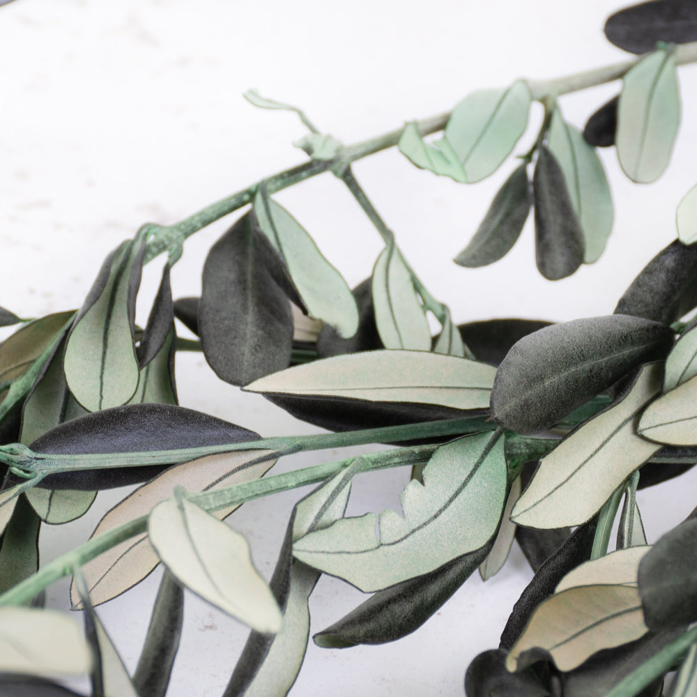 Preserved Olive, Green, Bunch, 100g Bunch