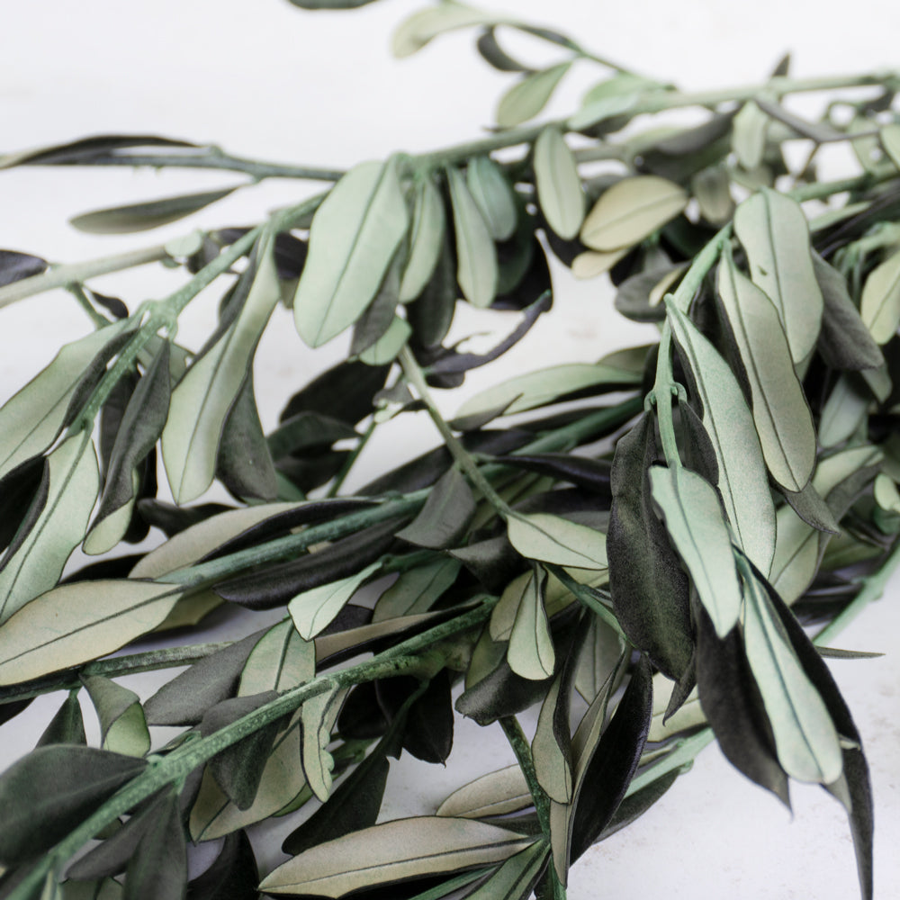 Preserved Olive, Green, Bunch, 100g Bunch