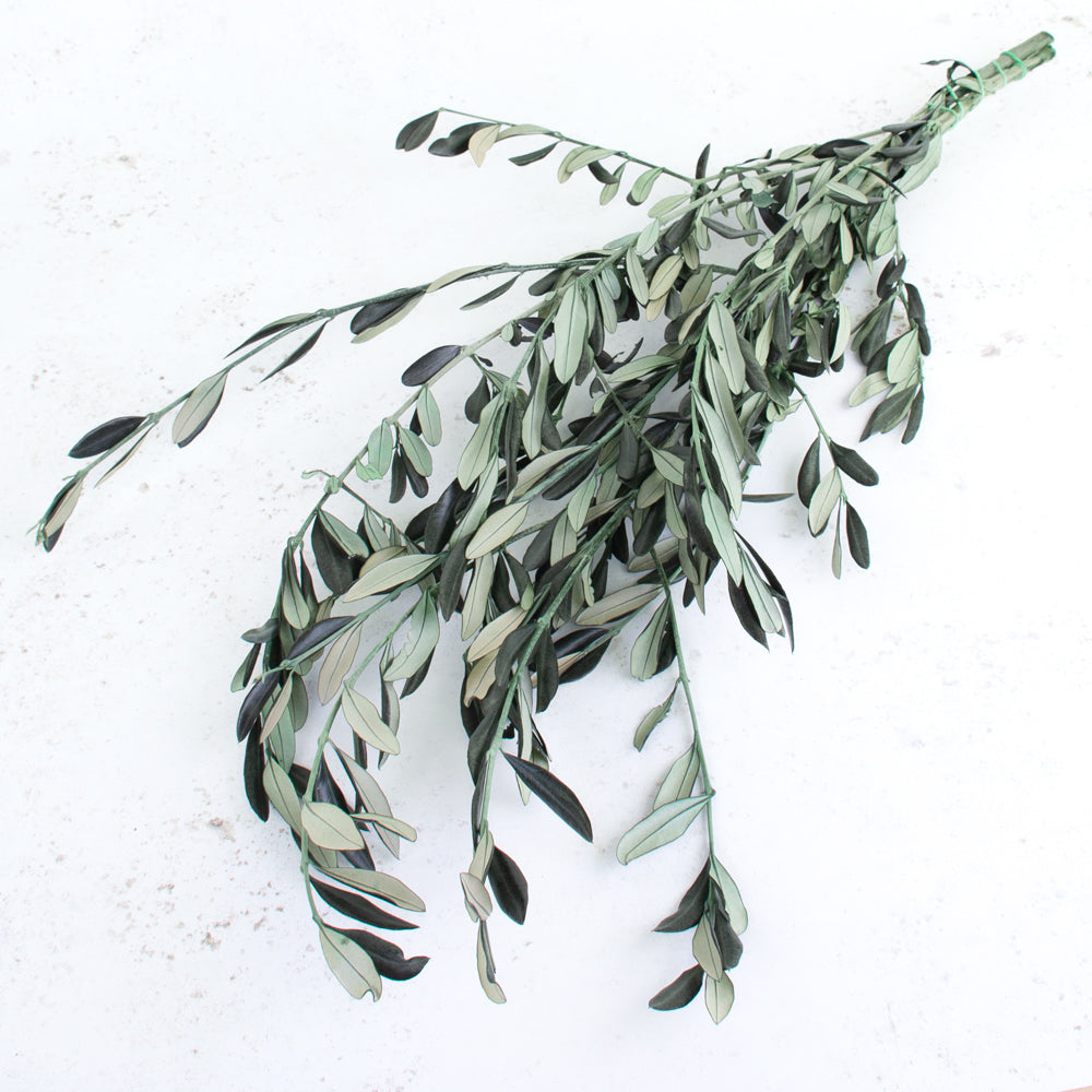 Preserved Olive, Green, Bunch, 100g Bunch