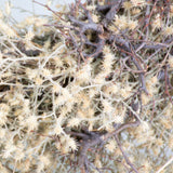 Rough Mountain Wreath, Natural Brown, 40cm Diameter