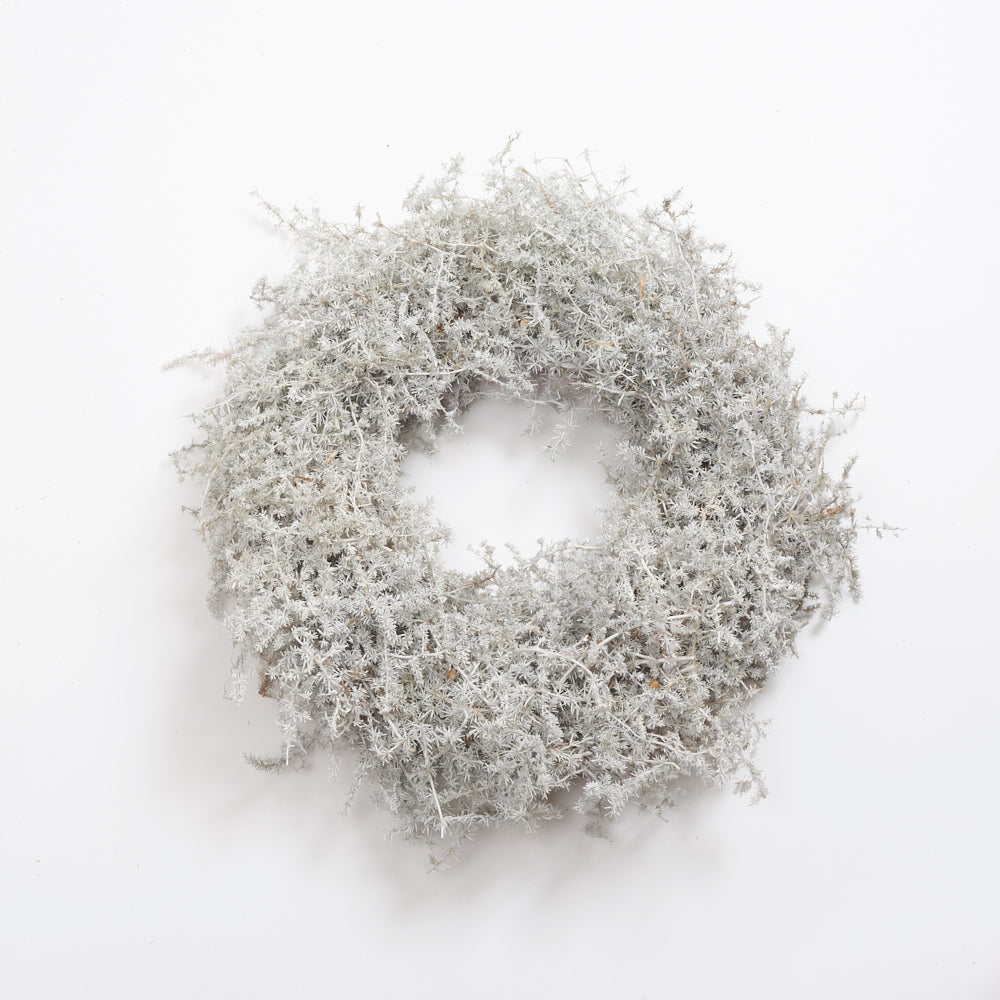 Asparagus Fern Wreath, Waxed, White, 35cm Diameter Atlas Flowers