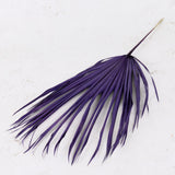 Fan Palm, Purple, 70cm, Bunch x 10