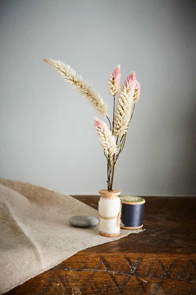 Celosia, Dried, Natural Pink, Bunch